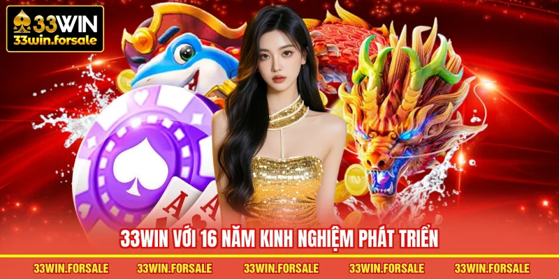 16 năm kinh nghiệm phát triển